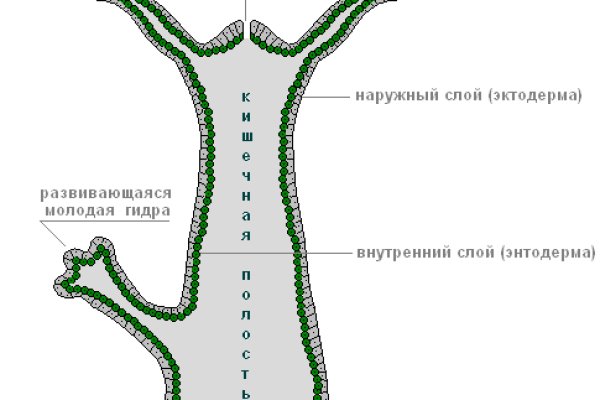 Омг омг как попасть на сайт